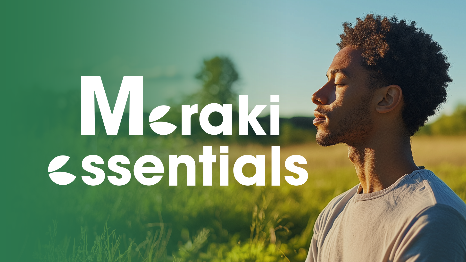 Meraki Essentials project showcase 3