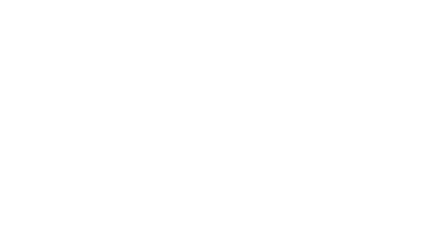 PZI