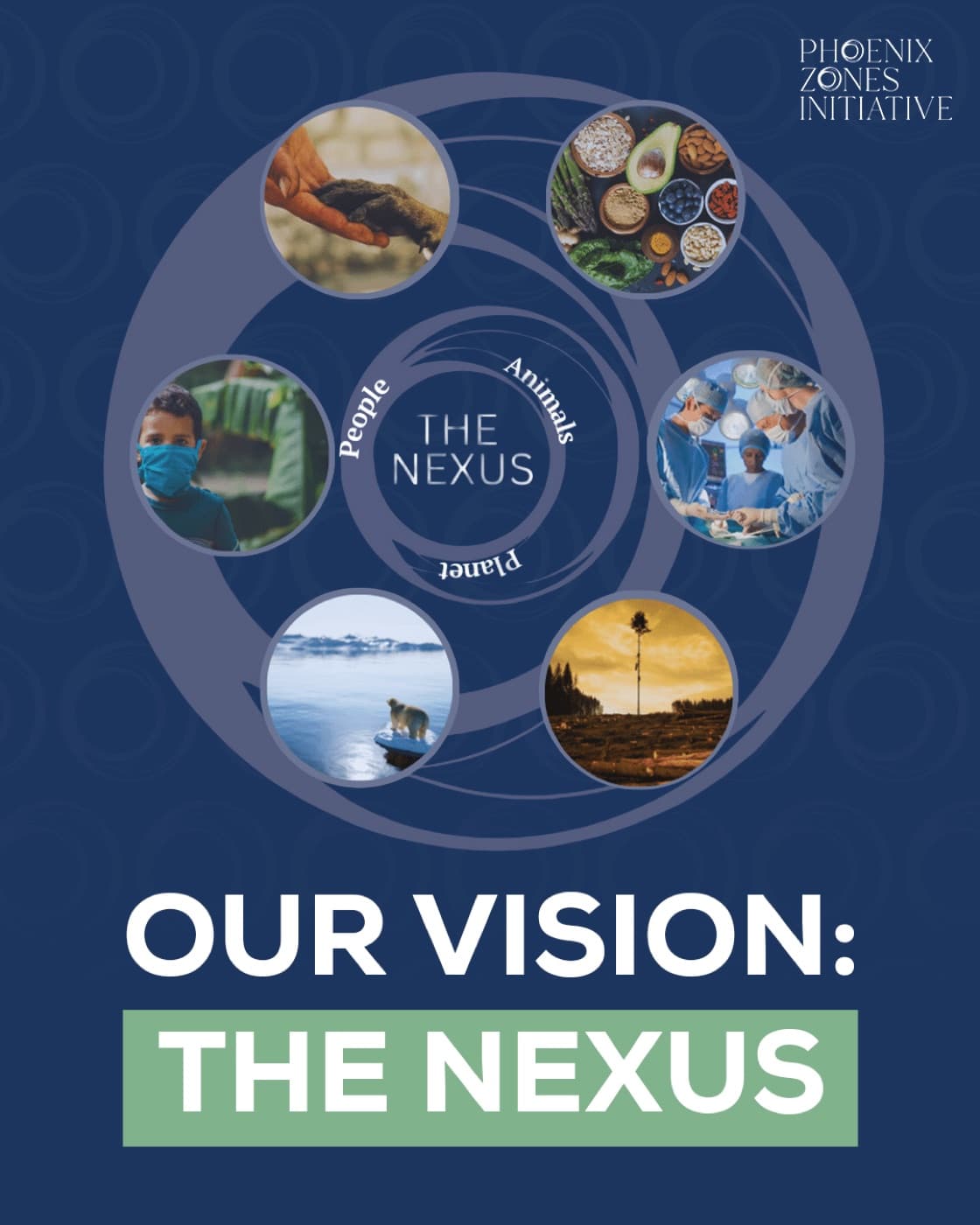 Phoenix Zones Initiative The Nexus social post