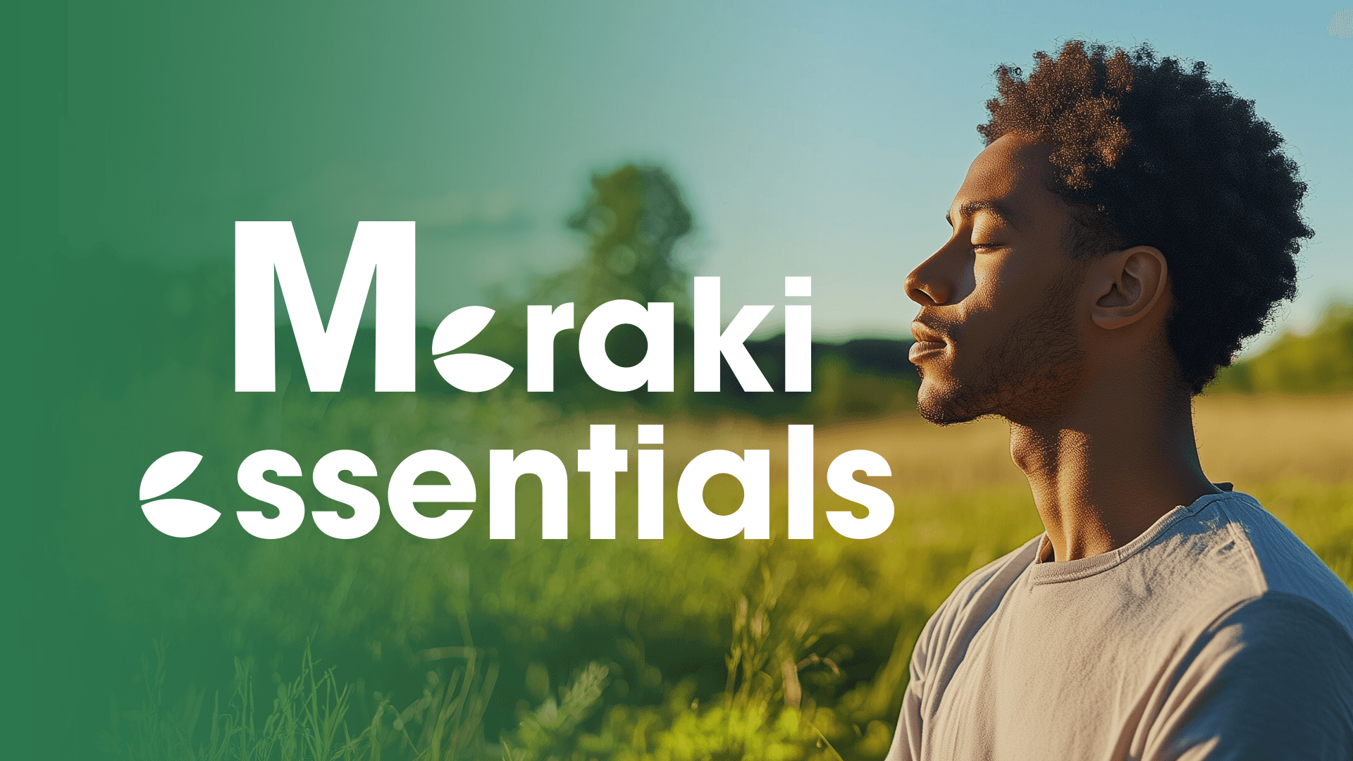 Meraki Essentials case study cover